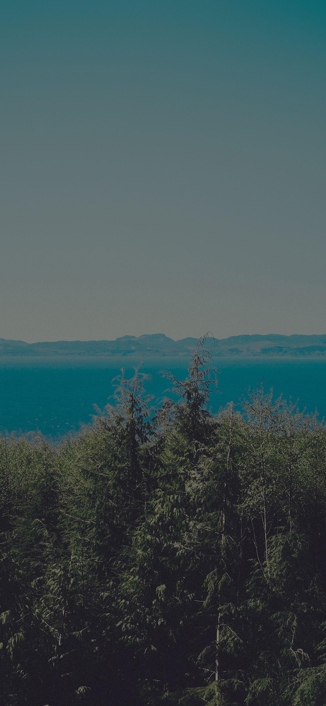 1125x2436 iPhoneXpapers.com | iPhone X wallpaper | mp31-wood-lake-blue-nature