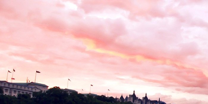 1242x2208 Rose Gold wallpaper ·① Download free amazing full HD backgrounds