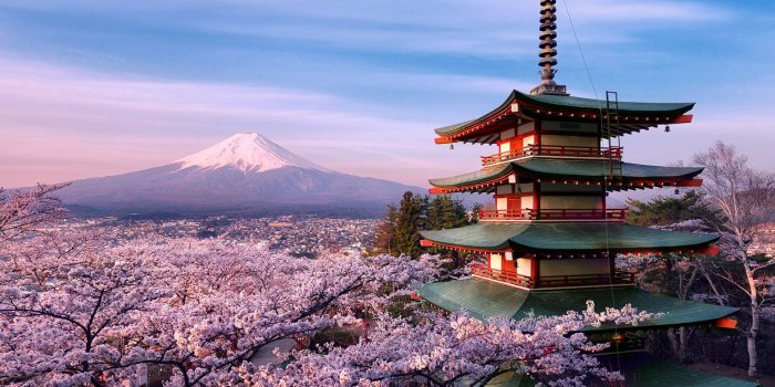 1920x1080 HD wallpaper: mountain, temple, pagoda, chureito pagoda, mount fuji