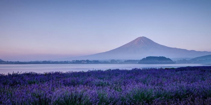 1332x850 Wallpaper field, flowers, nature, lake, mountain, morning, the