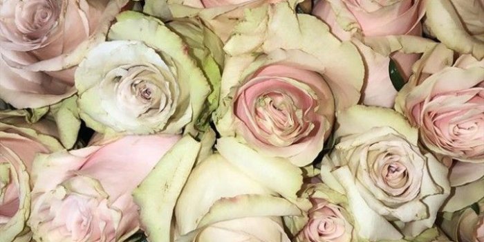 720x1280 Image about pink in Background by Rivers on the road.