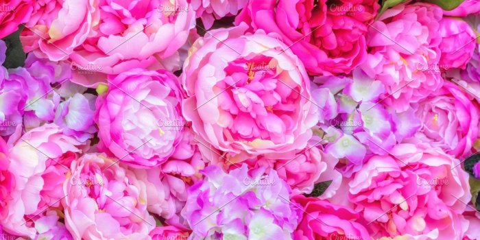 1820x1278 Nice Floral Background Pink