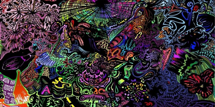 1920x1080 57+ Shrooms Wallpapers on WallpaperPlay