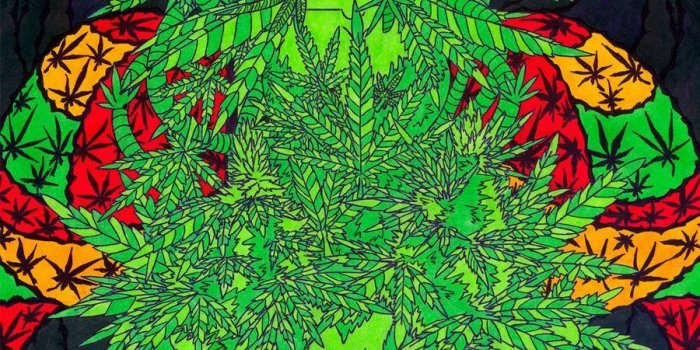 900x1274 Weed Art Wallpapers – 4kwallpaper.org