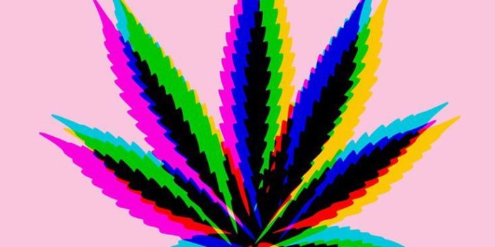 736x1308 Get 146+ weed wallpaper HD Wallpaper [] www.interest.pics
