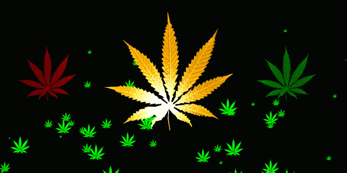 1280x800 Trippy Pot Leaf Wallpaper - Anband HD Pictures