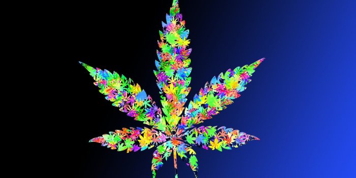 1920x1080 Weed Wallpapers (19)
