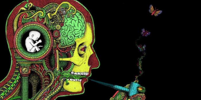 1920x1200 Trippy Weed Wallpaper (106+ images in Collection) Page 2