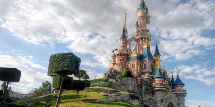 1600x1065 Castle Disneyland Paris Wallpapers