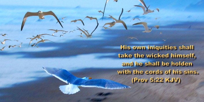 1600x1000 Inspirational WALLPAPERS – BIBLE VERSES- beach wallpapers | Hot