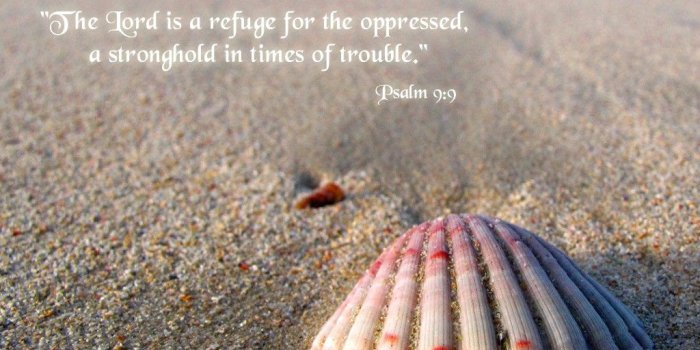 1024x768 Stunning Bible Verse Wallpaper For Desktop And Psalm - Scallop Shell