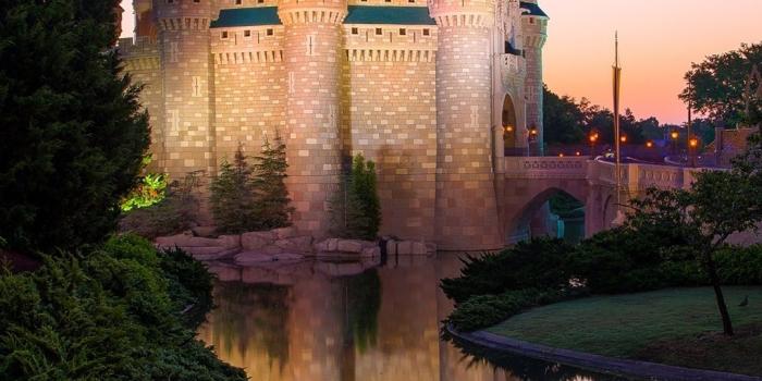 1080x1920 Wallpaper Magic Kingdom, Disney Castle, Disneyland, morning