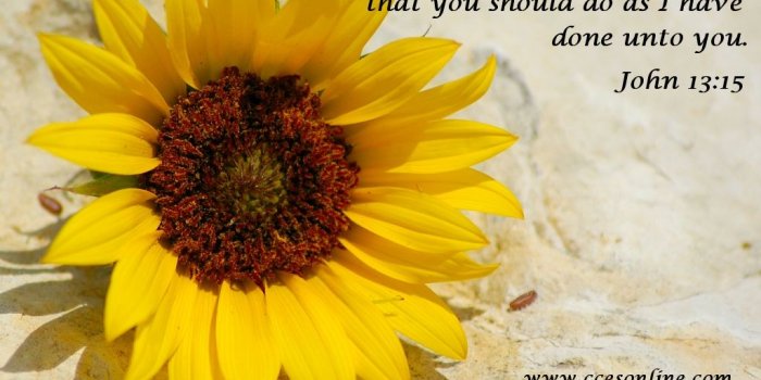 1024x768 Bible Verse Wallpaper - Vero Beach Alliance Church