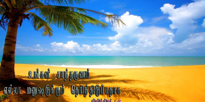 1920x1080 25+ Tropical Bible Wallpapers - Download at WallpaperBro