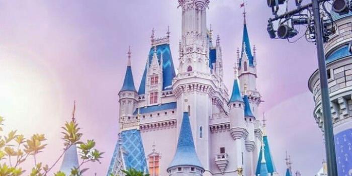 720x1280 Cinderella's Castle | Destination Disney! | Disney, Disney wallpaper