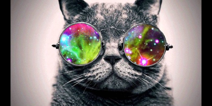 1920x1080 Galaxy Cat Wallpapers - Top Free Galaxy Cat Backgrounds