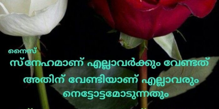 720x1280 Eron on Good Morning ( Friday Malayalam ) | Good morning