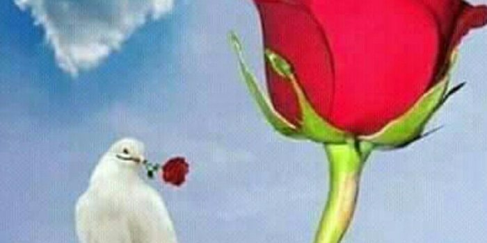 960x1280 Malayalam Good Morning Quotes Wshes Life Inspirational - Good