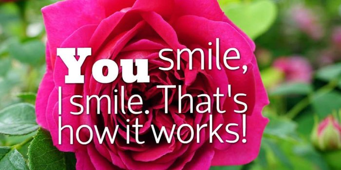 1024x768 299+ Love Quotes Images Free Download In HD For Girlfriend