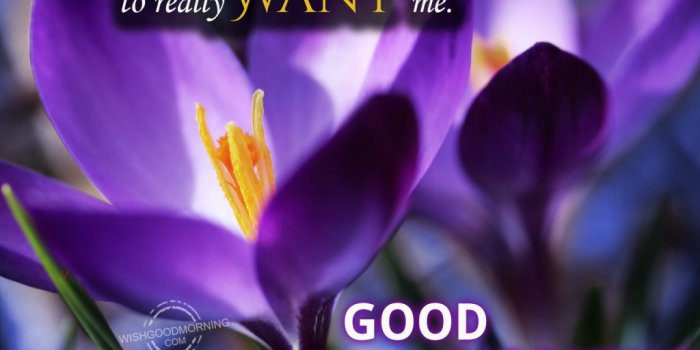 1024x768 Good Morning Wishes For Husband Pictures, Images