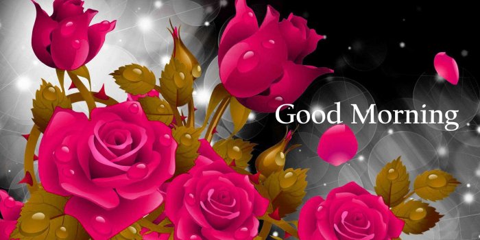 1920x1080 157+ Good Morning Flowers Images Photos Pics HD Download Here