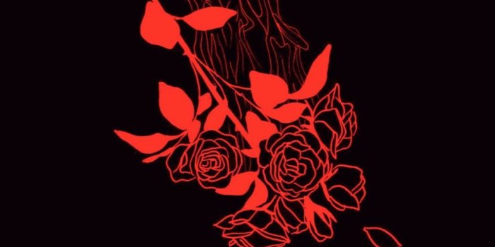 1037x1295 Your behaviour changed after we went to water our plants, or was it