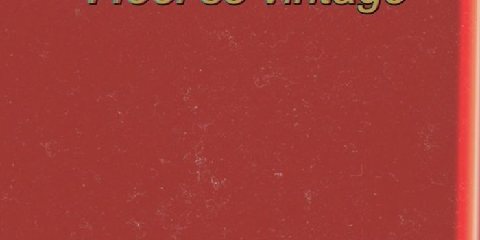 736x1101 aesthetic #mood #red #vertigo #vintage #yelow - Book (#968099) - HD