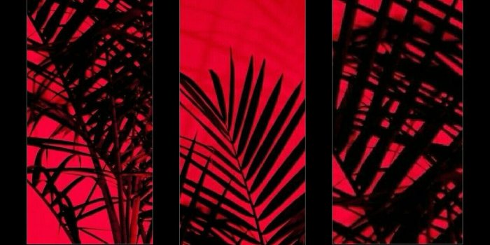 1277x2270 Red Aesthetic Wallpapers