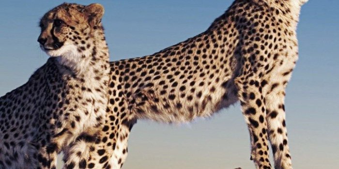 768x1280 Win 8.1 HD Wallpaper for Nokia Lumia 525 2018 – Free download soft