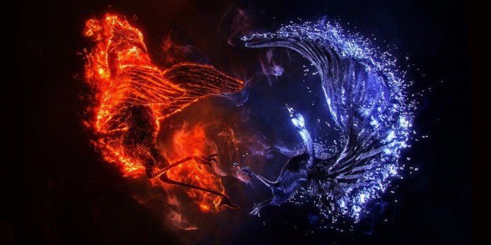 1680x1050 47+] Fire and Ice Wolf Wallpaper on WallpaperSafari
