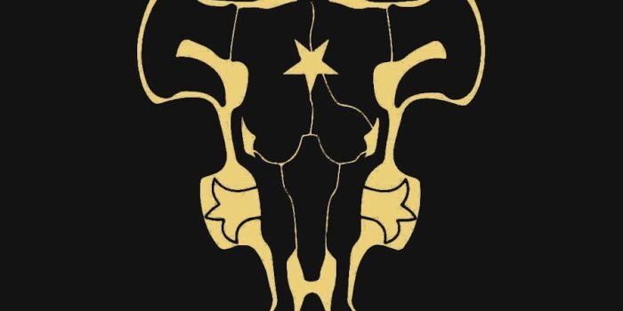 900x1600 Black Bull - Black Clover Wallpaper | Black clover | Wallpaper