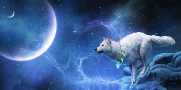 1920x1080 Ice Wolf Wallpaper (37+ images) on Genchi.info