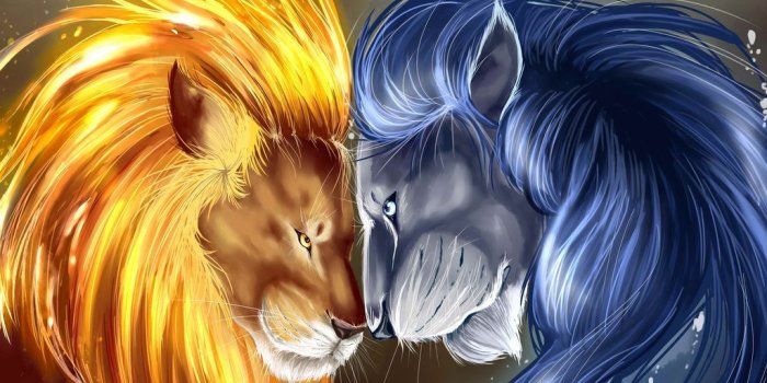 1024x768 Fire And Ice Wolf Wallpaper Hd ✓ Fitrini's Wallpaper