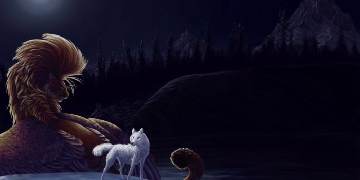 1200x675 Wolf and lion wallpaper – 432787 Fire And Ice Wolf Wallpaper