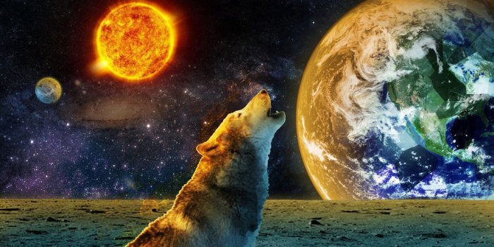1017x786 Fire And Ice Wolf Wallpaper #3F6M68X | MarkInternational.info