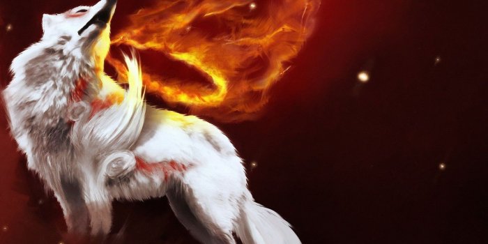 1680x1050 Wolf on fire wallpaper - Fantasy wallpapers - #6950