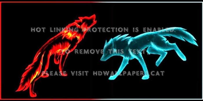 1280x960 Fire And Ice Wolf Wallpaper