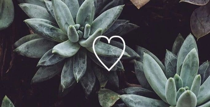 684x1280 Image about nature in pretty much aesthetic 