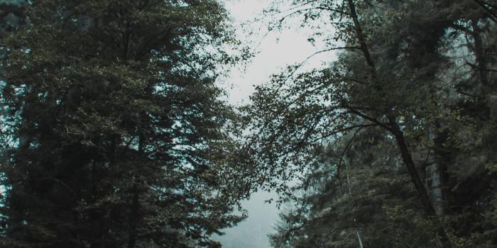 1125x2436 Stunning Wallpapers for iPhone X, iPhone XS and iPhone XS Max