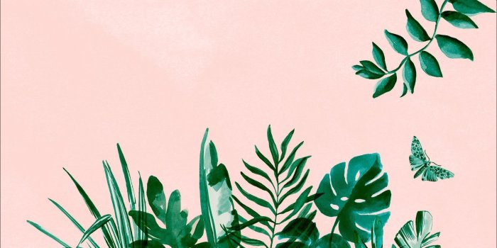 1856x1161 Wallpaper : Plant Aesthetic Wallpapers Top Free Backgrounds