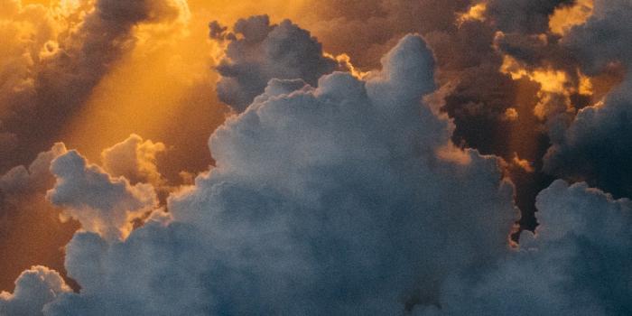 1750x3500 IPhone X 4K Wallpapers