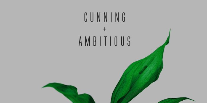 1080x1920 Aesthetic iphone wallpapers Gallery