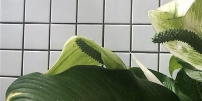 720x1280 Image about girl in wallpapers