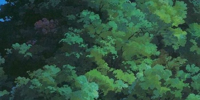 744x1392 Studio Ghibli Tree Green Art Illustration Love Anime iPhone se