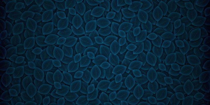 1920x1080 digital Art, Blue, Leaves, Pattern, Texture, Simple, Artwork, Nature