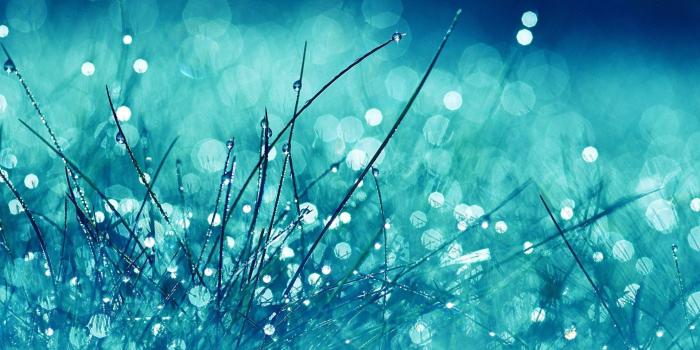 1920x1200 In,download, HD Wallpapers, Beautiful, Blue, Nature Wallpapers, Lets