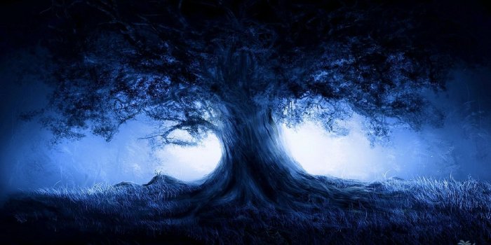 1920x1080 Dark Nature Wallpapers 1080p For Free Wallpaper | d in 2019