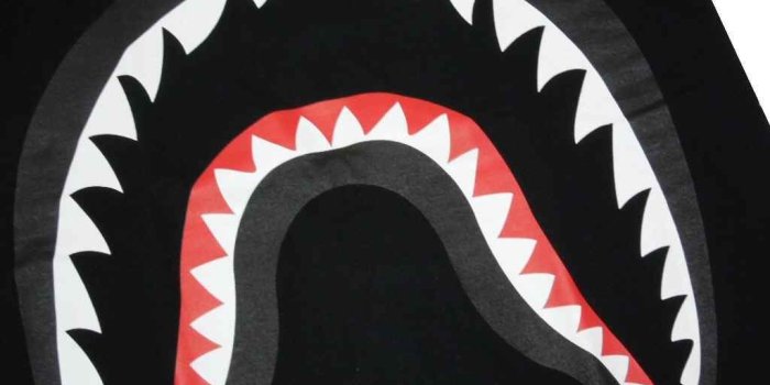 1024x768 Bape shark Logos