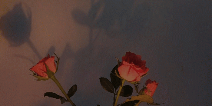 1366x768 for laptop // computer | aesthetic in 2019 | Laptop wallpaper