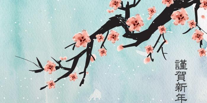 1920x1200 Japanese Cherry Blossom Art Wallpapers - Top Free Japanese Cherry